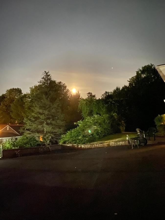 Fran Cove Motel Lake George Eksteriør bilde